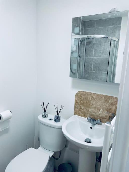 Ivy Two Bedroom & Garden In Temple Fortune Appartamento *